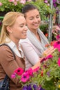 Two women choosing flowers in garden center Royalty Free Stock Photo