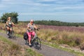 Two women cycling through blooming purple heath at Dutch Veluwe