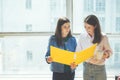 Two women discussing new working plan in office. Big bright window behind Royalty Free Stock Photo