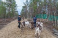 Two women feed reindeer, Sami, saami village on the Kola Peninsula, Russia. Tourist ethnographic parking. Settlement Old Titovka, Royalty Free Stock Photo