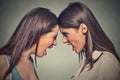 Two women fight. Angry women screaming looking at each other Royalty Free Stock Photo