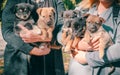 Two women in gray clothes with armfuls of mongrel puppies