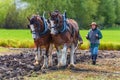 Two women guide a plow pulled by draft horses