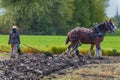 Two women guide a plow pulled by draft horses Royalty Free Stock Photo