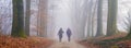 two women hike on foggy day in winter on sand path between beech trees Royalty Free Stock Photo