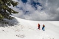 Two women hikers climbing towards the top of a snowy ridge in Bucegi mountains, Romania, passing by a green tree branch