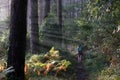 Two women hiking along the Camino de Santiago in Northern Spain Royalty Free Stock Photo