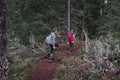 Two women hiking in the forest in Tiveden National Park in Sweden