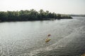 Two women and one man kayaking in the river at summer morning. Back view