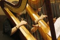 Two women play the harp during a symphonic concert.