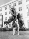 Two women playing leap frog together Royalty Free Stock Photo