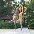 Two women practicing yoga, in the morning on a wooden bridge in the park, perform vrikshasana exercise, tree pose Royalty Free Stock Photo