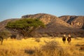 Two women ride through savannah near hills