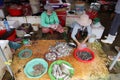 Two women sell fish at their stall in the Ba Le market in Hoi An Royalty Free Stock Photo