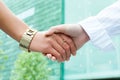 Two women shaking hands Royalty Free Stock Photo