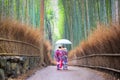 Two women are standing in bamboo groves