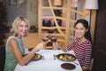 Two women toasting their glasses of red wine Royalty Free Stock Photo