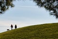 Two women walk with their dog on a green hill