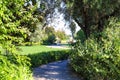 Two women walking on a footpath in the park surrounded by lush green trees Royalty Free Stock Photo