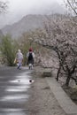 Two Women walking on a road in Nagar Valley during Cherry Blossum season Royalty Free Stock Photo