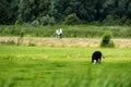 Two women walking on road in rural area.