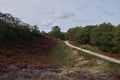 Two women walking on a trail through the dunes in Bergen Noord-Holland Royalty Free Stock Photo