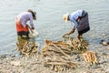 Two women are washing thanakha wood in the Mann river
