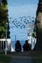 Two women watching the ducks from the dock in Lake Delavan, Wisconsin Royalty Free Stock Photo