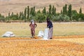 Two women working at a field where pears are being prepared and dried in the sun