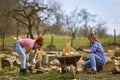 Two women working together Royalty Free Stock Photo