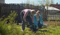 Two women working in the yard in spring