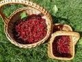 Two wooden baskets with perfect ripe red currants in the sunlight on the grass in the garden Royalty Free Stock Photo