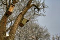 Two wooden bird boxes slightly covered with snow