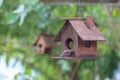 Two wooden bird houses, one in focus, one out. Royalty Free Stock Photo