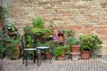 Two wooden chairs and pots with plants Royalty Free Stock Photo