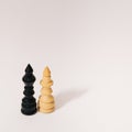 Two wooden chess figures. King and the queen on a white background. Minimal concept. Copy space Royalty Free Stock Photo