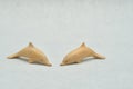 Two wooden dolphin figurines Royalty Free Stock Photo