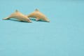 Two wooden dolphin figurines Royalty Free Stock Photo