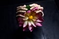 Two wooden hands that hold a fake lotus flower