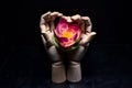 Two wooden hands that hold a fake lotus flower