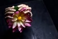 Two wooden hands that hold a fake lotus flower