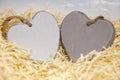 Two wooden hearts Royalty Free Stock Photo