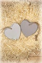 Two wooden hearts in a love nest Royalty Free Stock Photo