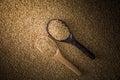 Two wooden ladles on paddy rice background