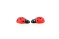 Two wooden ladybirds Royalty Free Stock Photo