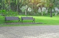 Two wooden bench on fresh green carpet grass yard, smooth lawn beside gray concrete block pavement walkway Royalty Free Stock Photo