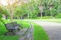 Two wooden bench on fresh green carpet grass backyard, smooth lawn beside gray concrete block pavement walkway Royalty Free Stock Photo