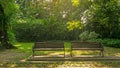 Two wooden and wrought iron bench on gray concrete block pavement walkway beside fresh green carpet grass yard Royalty Free Stock Photo