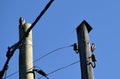 Woodpecker birds sits on the two poles on blue sky background