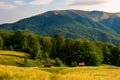 Two woodshed near the forest in mountains